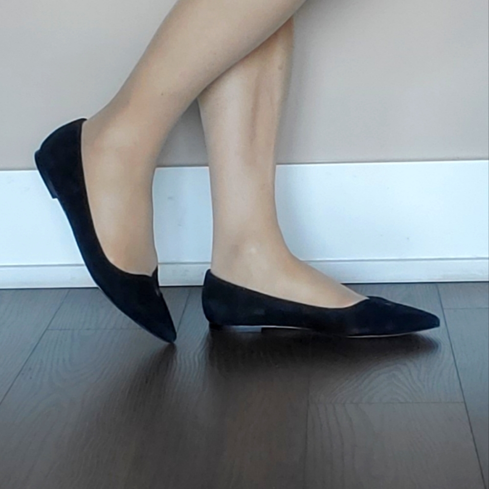 👑 2X HOST PICK 👑 Sam Eldman Pointy Toe Ballerina Flats